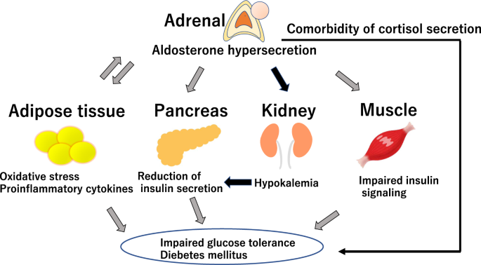 Autonomous cortisol secretion in patients with primary aldosteronism: A possible risk factor for new-onset diabetes mellitus | Hypertension Research Autonomous cortisol secretion in patients with primary aldosteronism: A possible risk factor for new-onset diabetes mellitus | Hypertension Research