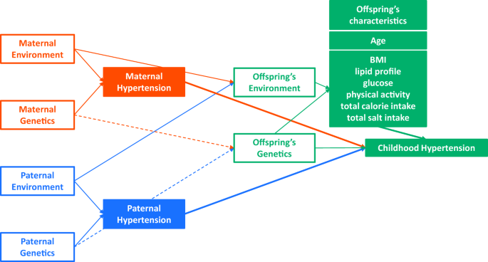 Combination of genetic and environmental factors for childhood hypertension: a simple indicator of family history remains useful