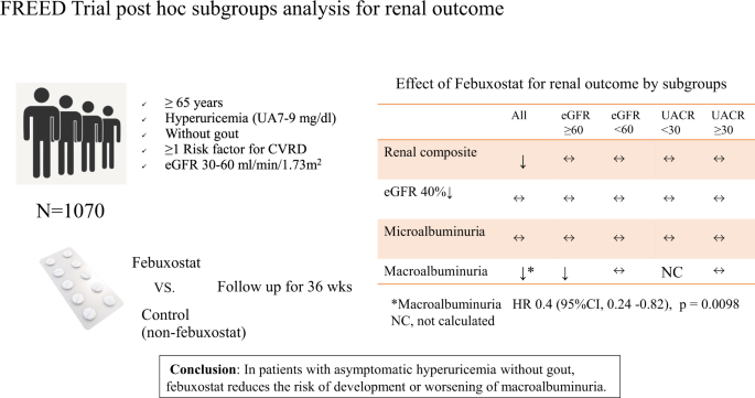 Febuxostat and renal outcomes: post-hoc analysis of a randomized trial |  Hypertension Research