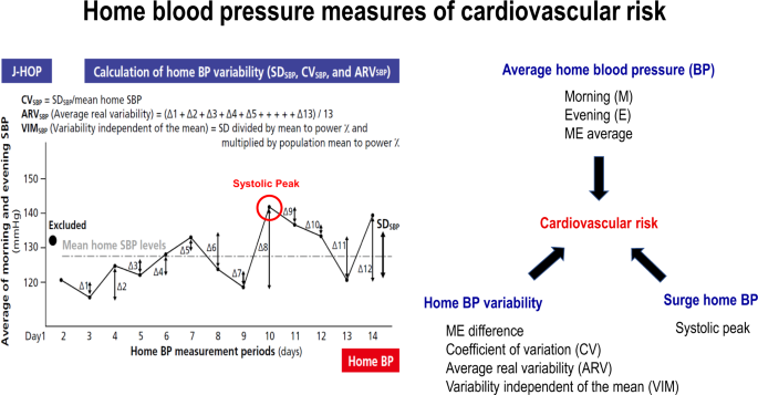 British Heart Foundation - Your guide to 24 hour blood pressure