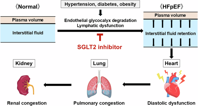 semaglutide hfref STEP-HFpEF Trial Cardioprotective effects of semaglutide on