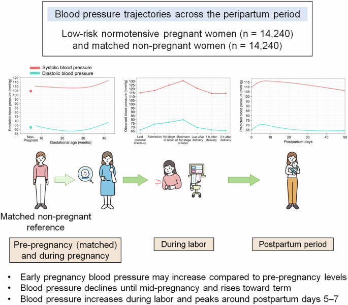 Blood pressure trajectories during pregnancy, labor, and postpartum period: a multicenter study in Japan