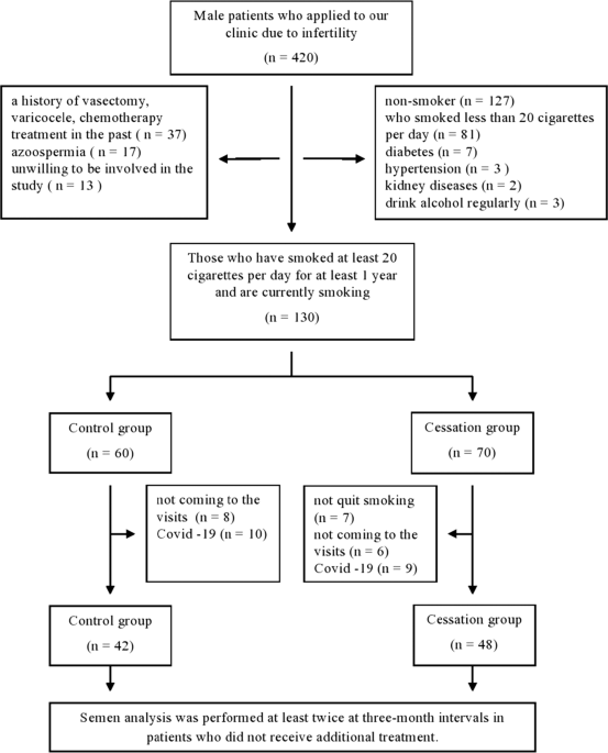 does menthol cigarettes reduce sperm count Sperm concentration and semen volume increase after smoking cessation in  infertile men