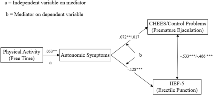 Associations between self-reports of physical activity, interoceptive awareness, autonomic regulation, premature ejaculation, and erectile dysfunction in Chinese men Associations between self-reports of physical activity, interoceptive awareness, autonomic regulation, premature ejaculation, and erectile dysfunction in Chinese men