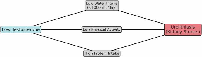 Older age and low testosterone levels are independently associated with kidney stone prevalence in men: results from a large cross-sectional study