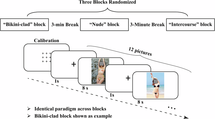 Genital-prioritized attentional bias in lifelong premature ejaculation: behavioral evidence from eye-tracking and machine learning - Nature