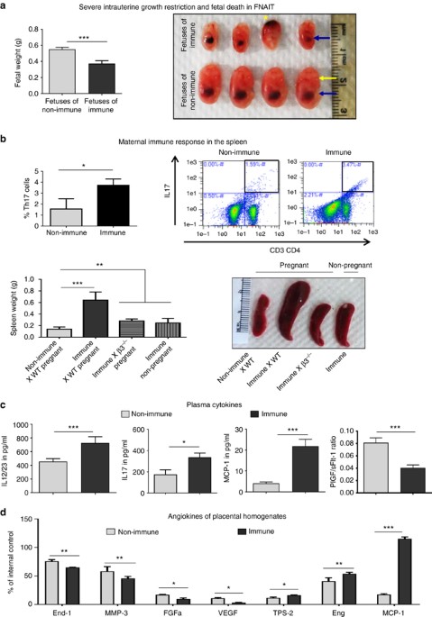 Activated Nk Cells Cause Placental Dysfunction And Miscarriages In Fetal Alloimmune Thrombocytopenia Nature Communications