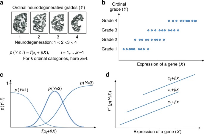Identifying Therapeutic Targets By Combining Transcriptional Data With Ordinal Clinical Measurements Nature Communications