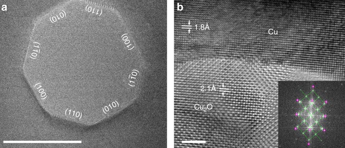 in situ atomic scale imaging of the metal oxide thank you for visiting