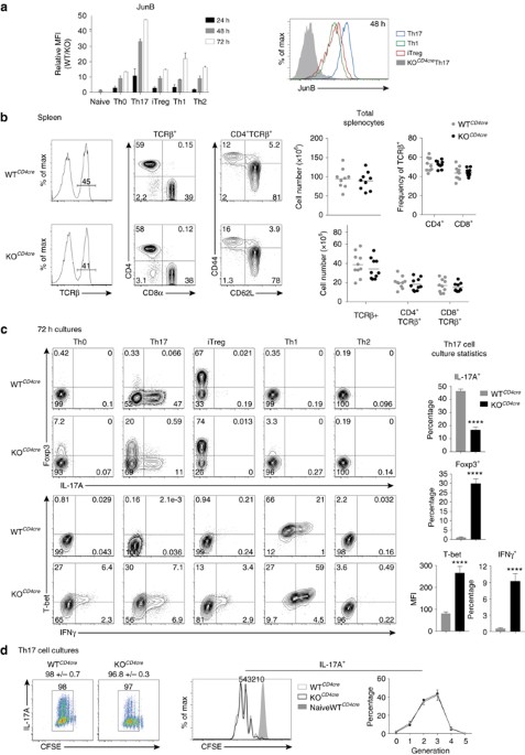 JunB promotes Th17 cell identity and restrains alternative CD4+ T-cell programs during inflammation - Nature Communications