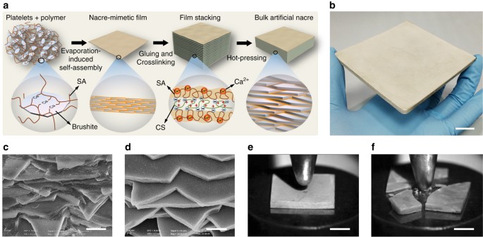 Mass Production Of Bulk Artificial Nacre With Excellent Mechanical Properties Nature Communications