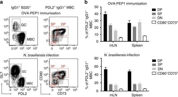 Igg1 Memory B Cells Keep The Memory Of Ige Responses Nature Communications