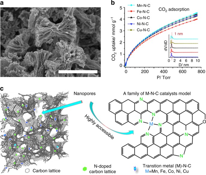 Understanding Activity And Selectivity Of Metal Nitrogen Doped Carbon Catalysts For Electrochemical Reduction Of Co 2 Nature Communications