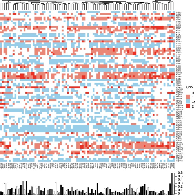 Molecular analysis of high-grade serous ovarian carcinoma with and ...