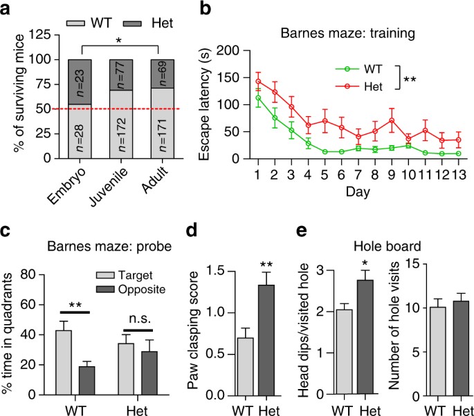 Unmasking Anxiety In Autism >> Nitrosynapsin Therapy For A Mouse Mef2c Haploinsufficiency Model Of Unmasking Anxiety In Autism >> Nitrosynapsin Therapy For A Mouse Mef2c Haploinsufficiency Model Of