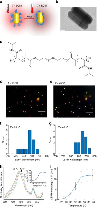 Imaging The Transient Heat Generation Of Individual Nanostructures With A Mechanoresponsive Polymer Nature Communications