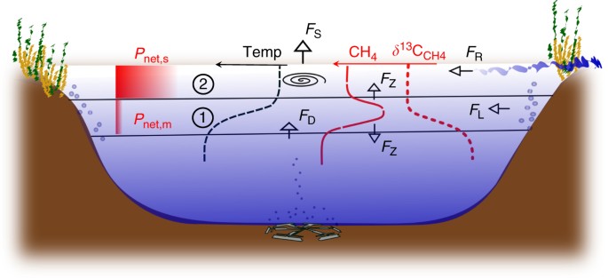 Full-scale evaluation of methane production under oxic conditions in a  mesotrophic lake | Nature Communications