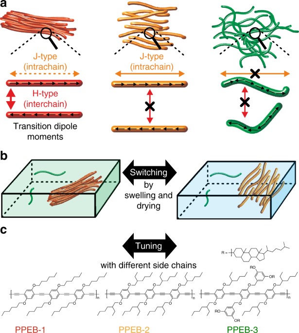 Switching Between H And J Type Electronic Coupling In Single Conjugated Polymer Aggregates Nature Communications
