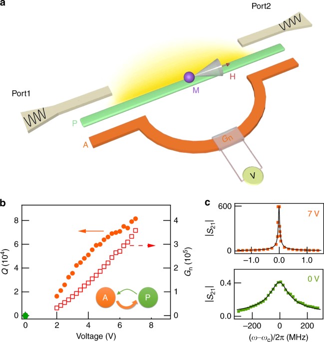 Cooperative Polariton Dynamics In Feedback Coupled Cavities Nature Communications