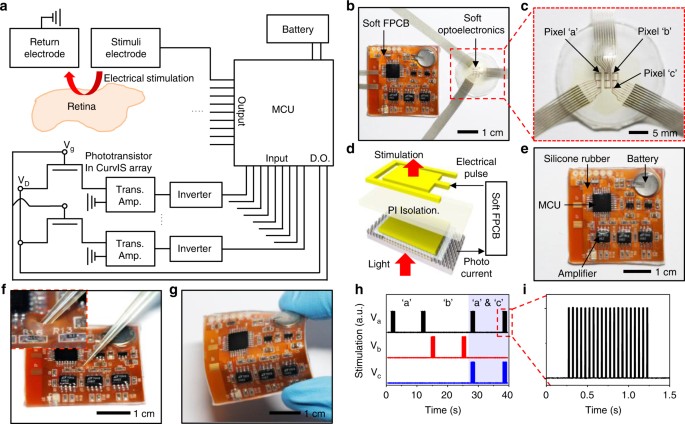 Human eye-inspired soft optoelectronic device using high-density MoS 2 ...