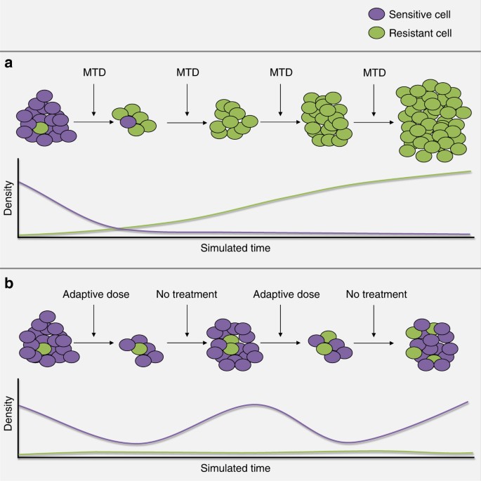 Integrating Evolutionary Dynamics Into Treatment Of Metastatic Castrate Resistant Prostate Cancer Nature Communications
