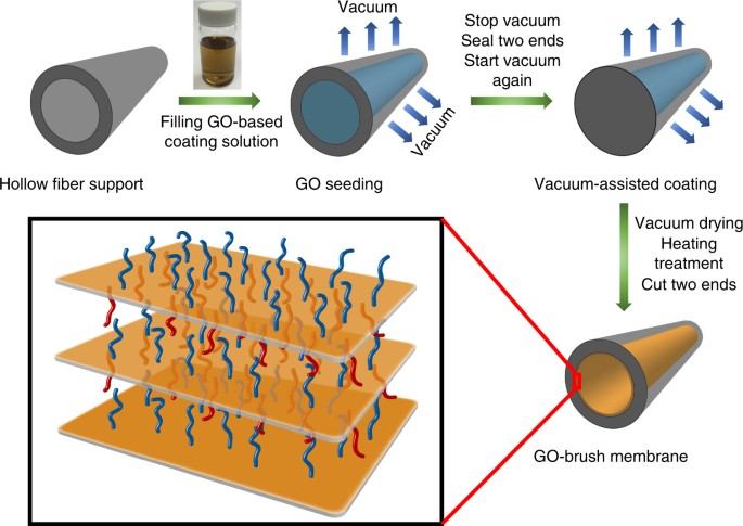 Ultrathin graphene oxide-based hollow fiber membranes with brush-like  CO2-philic agent for highly efficient CO2 capture | Nature Communications