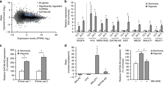 the lncrna gata6 as