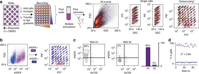 Discovery of human cell selective effector molecules using single cell ...