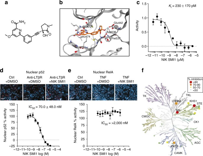 NF-κB inducing kinase is a therapeutic target for systemic lupus  erythematosus | Nature Communications