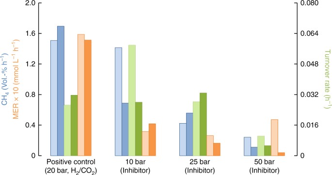 High Turnover Rate In The Food Industry High Turnover Rate In The Food Industry