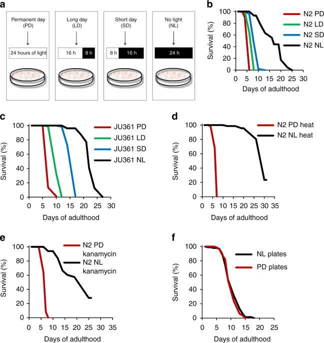 Visible Light Reduces C Elegans Longevity Nature Communications Visible Light Reduces C Elegans Longevity Nature Communications