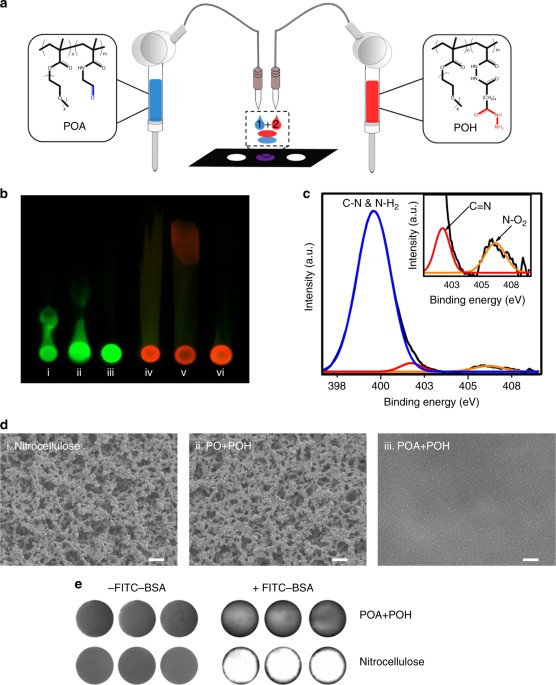 A Printable Hydrogel Microarray For Drug Screening Avoids False Positives Associated With Promiscuous Aggregating Inhibitors Nature Communications