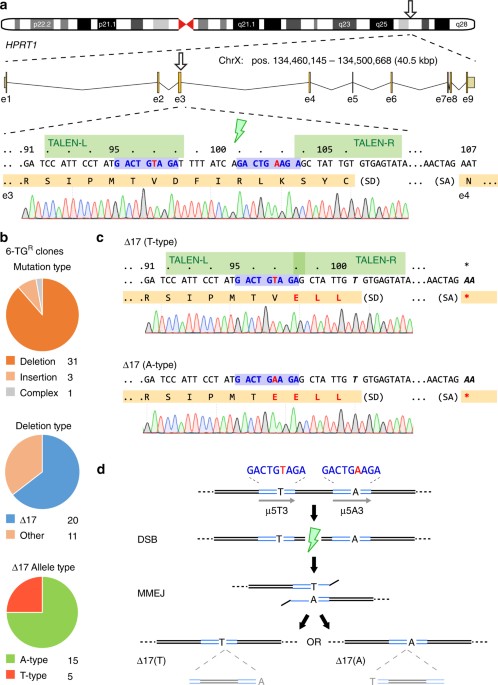 Human Cloning As Means Of Maximizing >> Microhomology Assisted Scarless Genome Editing In Human Ipscs Human Cloning As Means Of Maximizing >> Microhomology Assisted Scarless Genome Editing In Human Ipscs