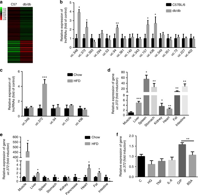 Ultraconserved Element Uc 372 Drives Hepatic Lipid Accumulation By Suppressing Mir 195 Mir4668 Maturation Nature Communications