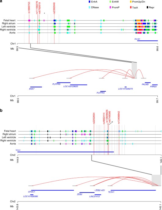 Genome Wide Analysis Yields New Loci Associating With Aortic Valve Stenosis Nature Communications
