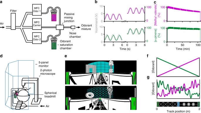 An olfactory virtual reality system for mice | Nature Communications