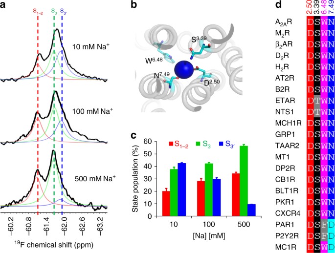 Mechanistic Insights Into Allosteric Regulation Of The A 2a Adenosine G Protein Coupled Receptor By Physiological Cations Nature Communications