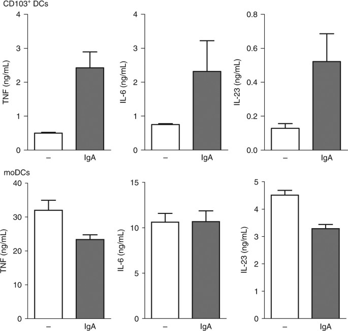 Fcαri co-stimulation converts human intestinal cd103+ dendritic cells into pro-inflammatory cells through glycolytic reprogramming
