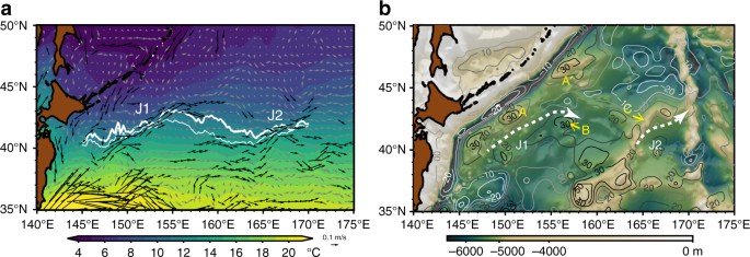 Low Ocean Floor Rises Regulate Subpolar Sea Surface