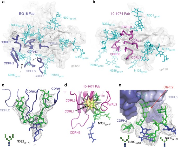 Structural characterization of a highlypotent V3glycan broadly
