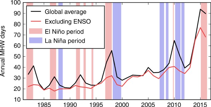 Número total de dias de ondas de calor marinhas globalmente. Média global das séries temporais do total de ondas de calor (MHW) marinhas da NOAA OI SST em 1982–2016. A linha preta mostra as séries temporais com média global do total de dias de MHW da NOAA OI SST em 1982–2016. A linha vermelha mostra essa métrica depois de remover a assinatura do ENSO. Os sombreados vermelho e azul claro indicam os períodos El Niño e La Niña, respectivamente, definidos por períodos que excedem ± 1 dp do índice MEI durante três meses consecutivos.