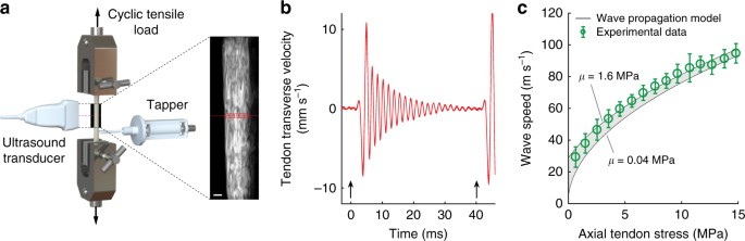 https://media.springernature.com/m685/springer-static/image/art%3A10.1038%2Fs41467-018-03797-6/MediaObjects/41467_2018_3797_Fig1_HTML.jpg