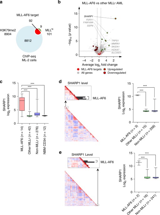 the basic helix loop helix transcription factor sharp1 is an p np venn diagram