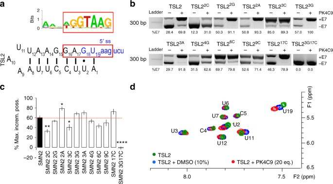 targeting rna structure in