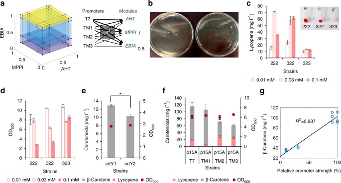 multidimensional heuristic process for high yield production of fig 2