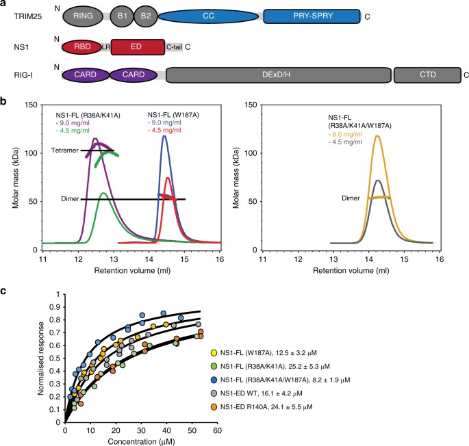 Molecular Mechanism Of Influenza A Ns1 Mediated Trim25 Recognition And Inhibition Nature Communications