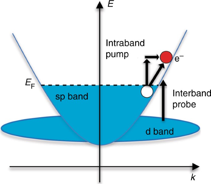 Determination Of Hot Carrier Energy Distributions From Inversion Of Ultrafast Pump Probe Reflectivity Measurements Nature Communications