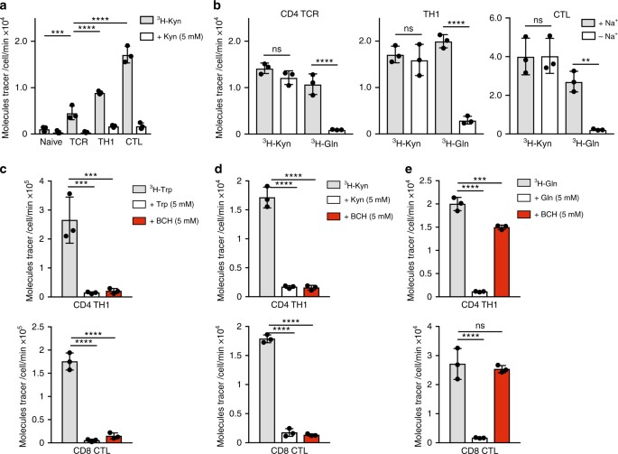 Single Cell Analysis Of Kynurenine And System L Amino Acid Transport In T Cells Nature Communications