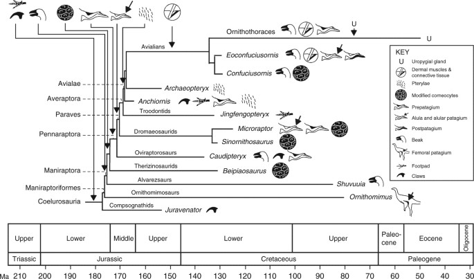 Fig. 4