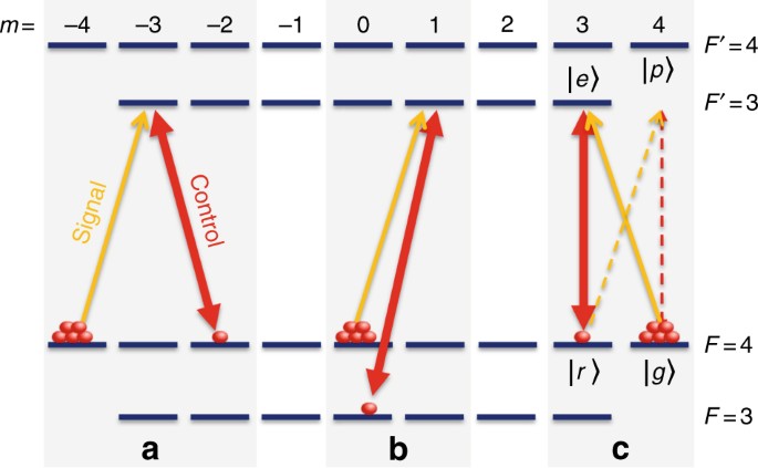 Light Storage For One Second In Room Temperature Alkali